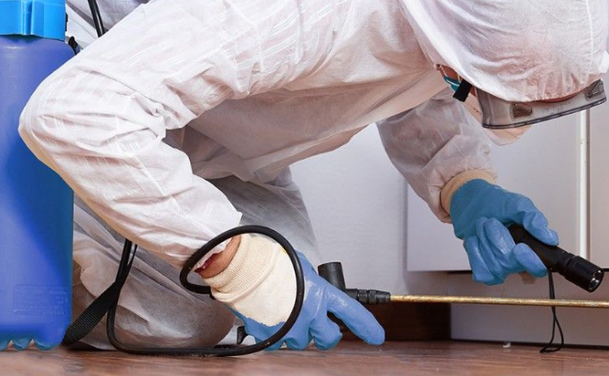 Prévention : interventions contre les nuisibles dans les logements